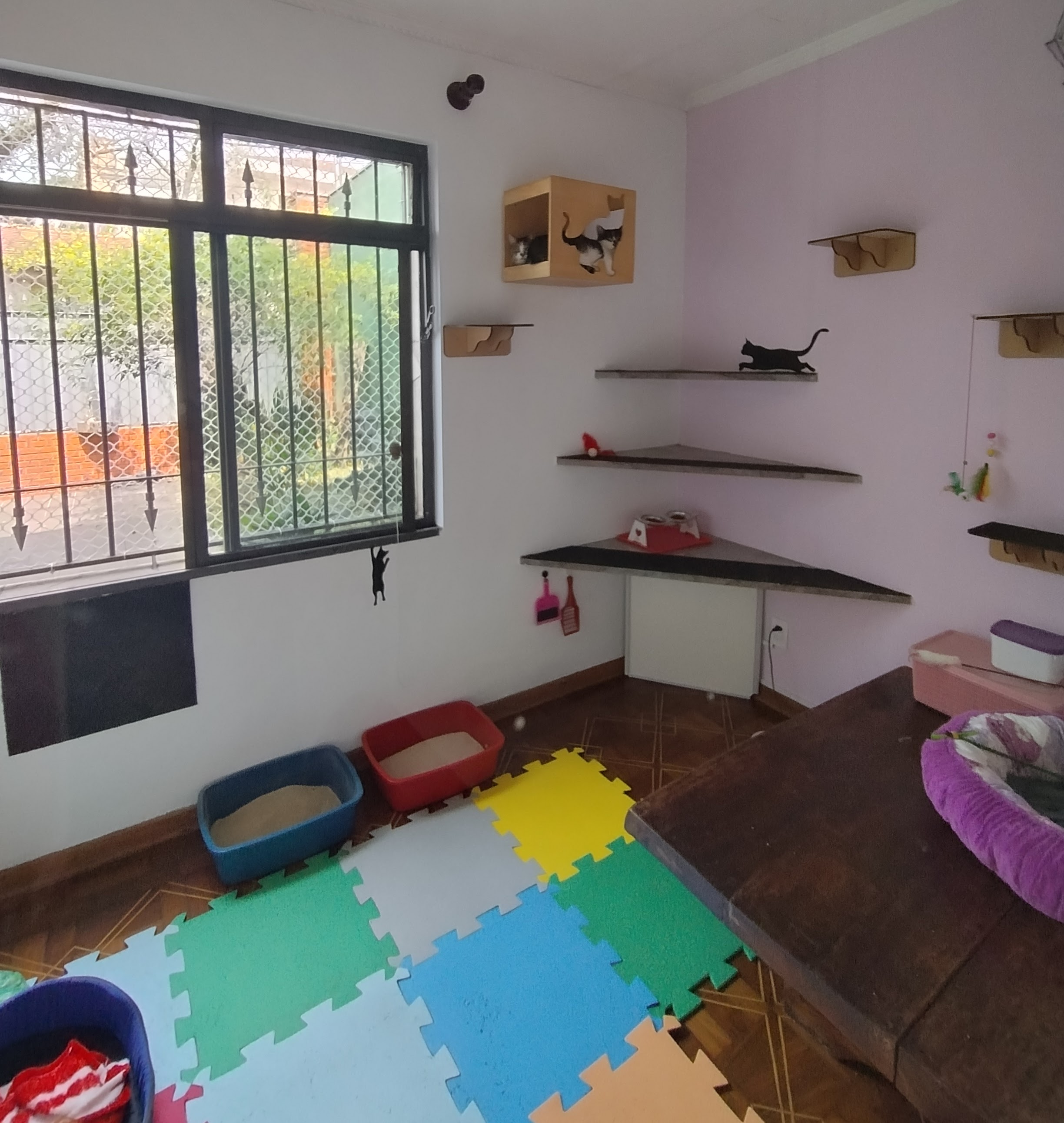 Quarto Ametista, ideal para 2 a 3 gatos