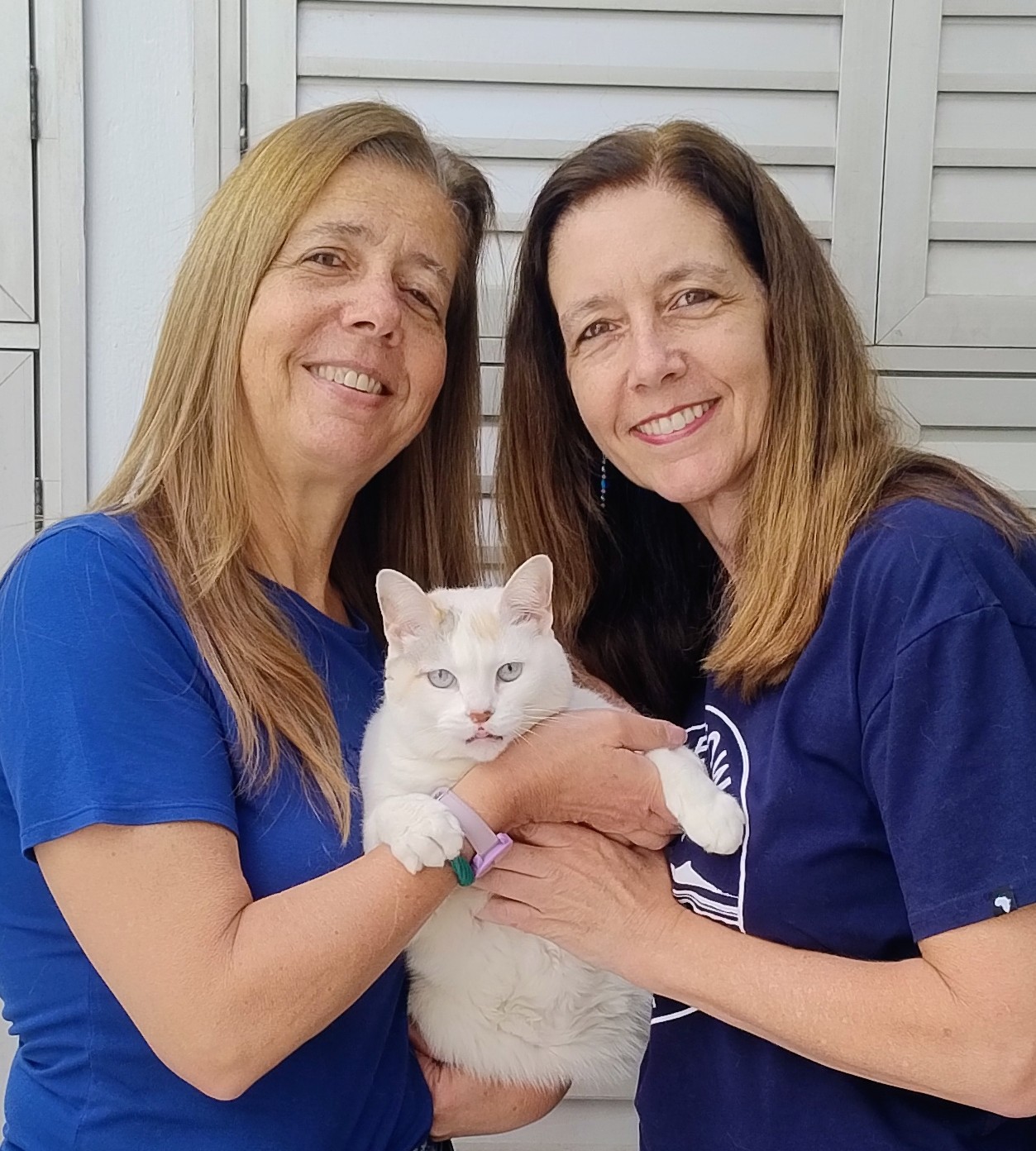 Dé e Lu, anfitriões da Hora de Passeio