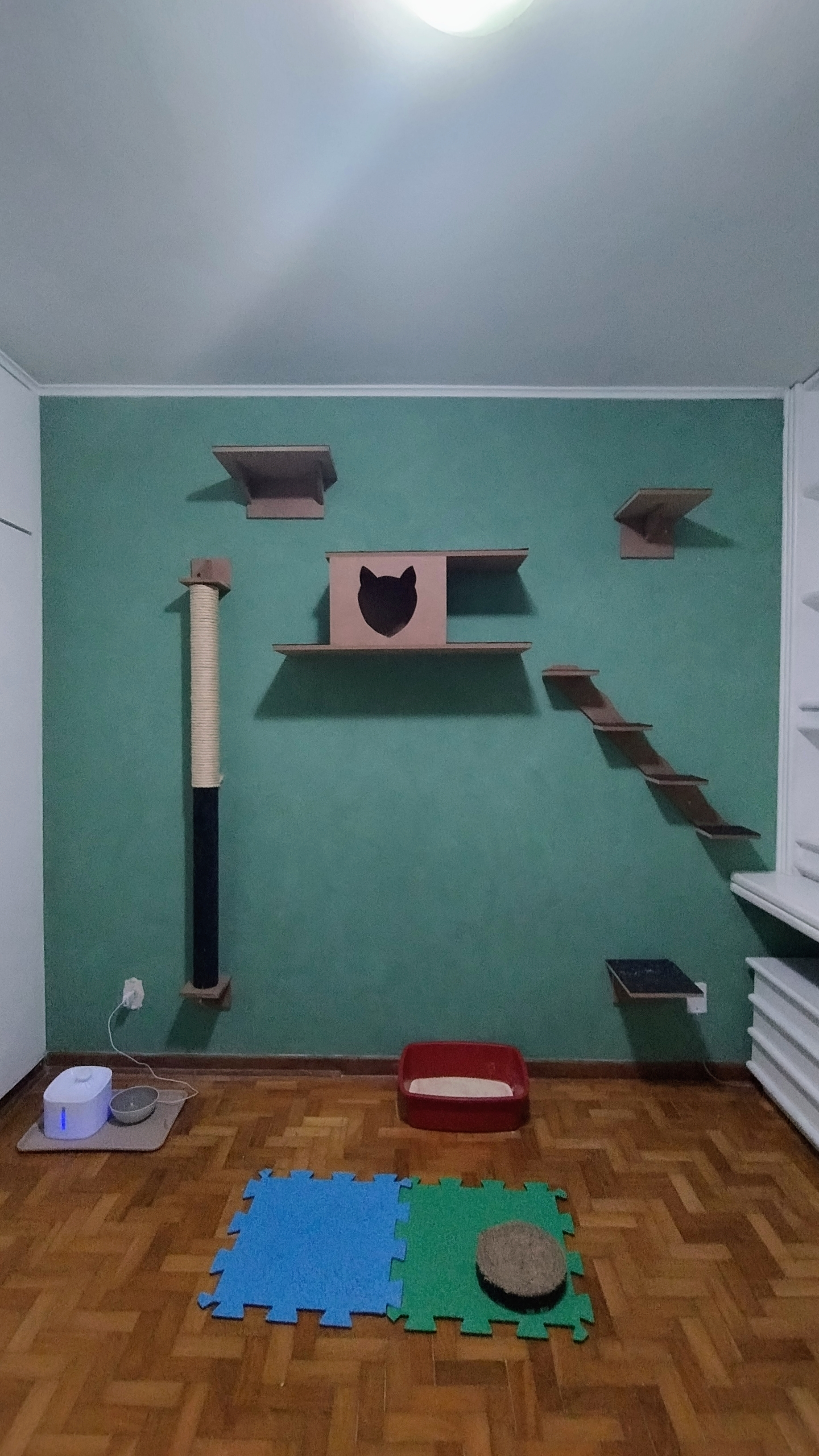 Quarto Esmeralda, com estrutura para gatos