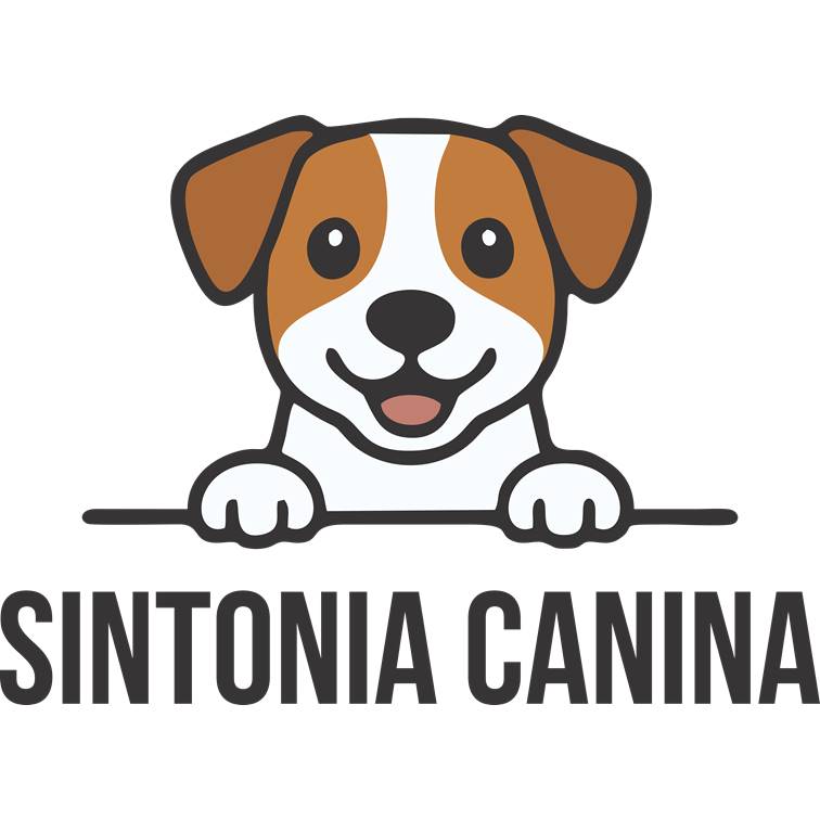 Logo Sintonia Canina - Hotel e Creche para Cães