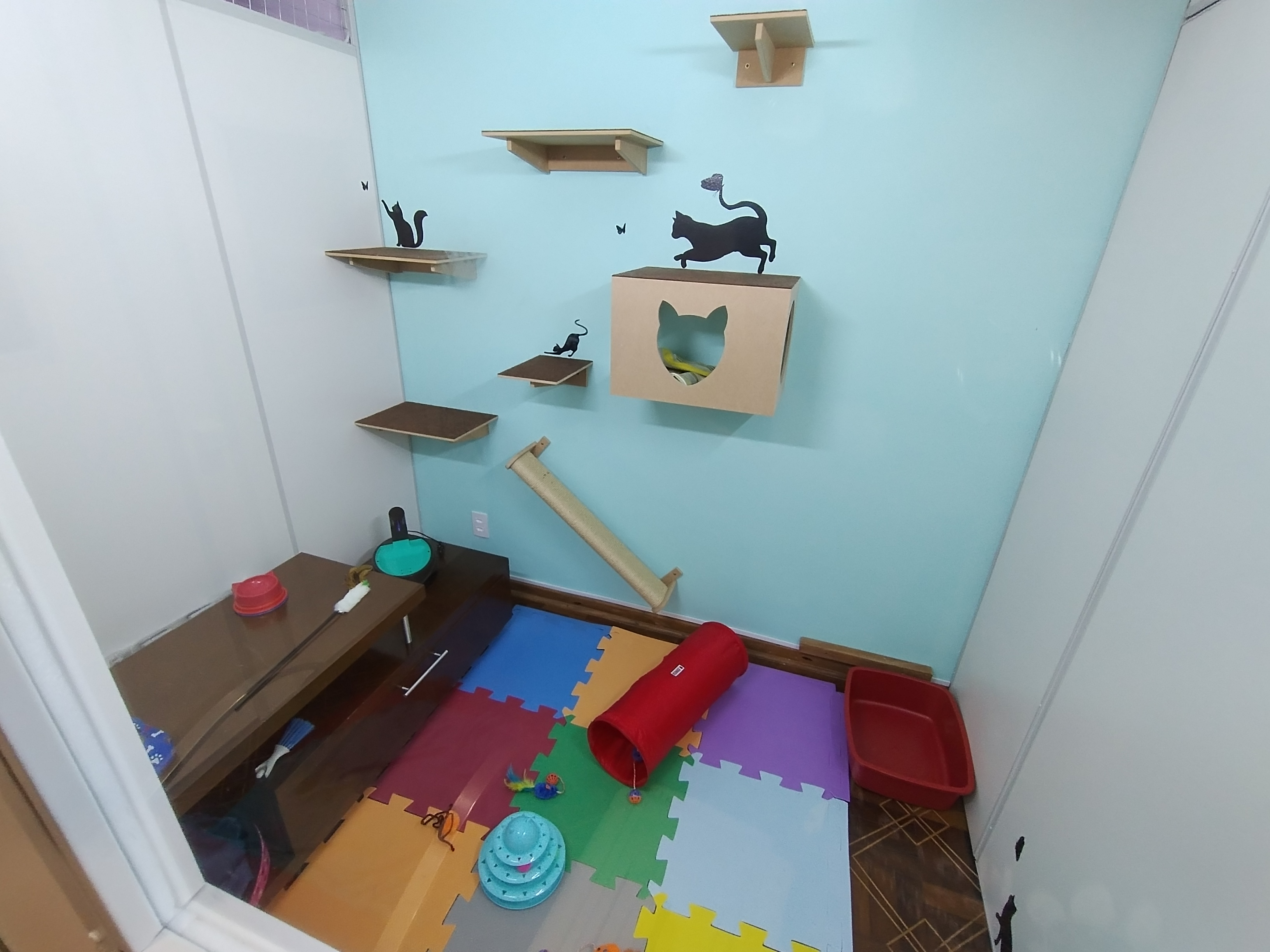 Quarto Quartzo Verde, ideal para 1 gato